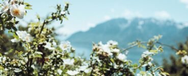 Bienvenida a la primavera