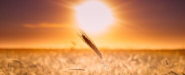 10 ideas económicas y sostenibles para combatir el calor (II)