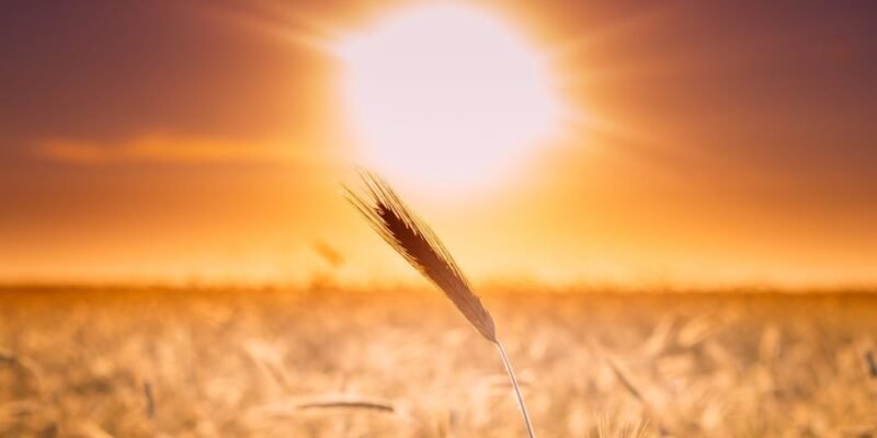 10 ideas económicas y sostenibles para combatir el calor (II)