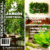 3 cursos en 1: Jardín vertical profesional, Cuadros vivos y Huertas verticales